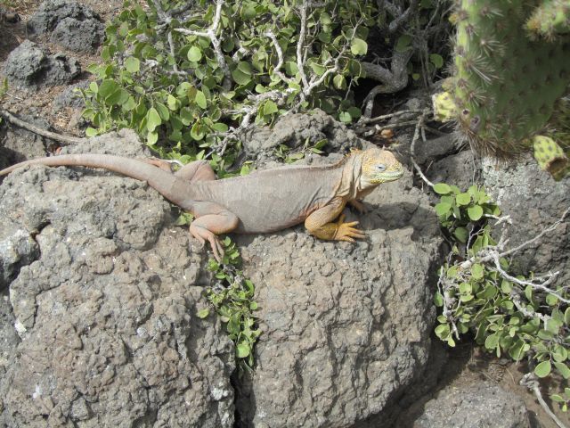 618x457 pixels (112K)