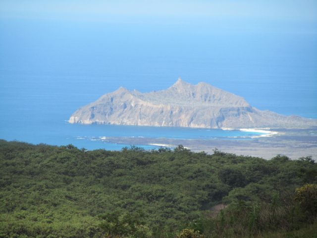 618x457 pixels (52K)