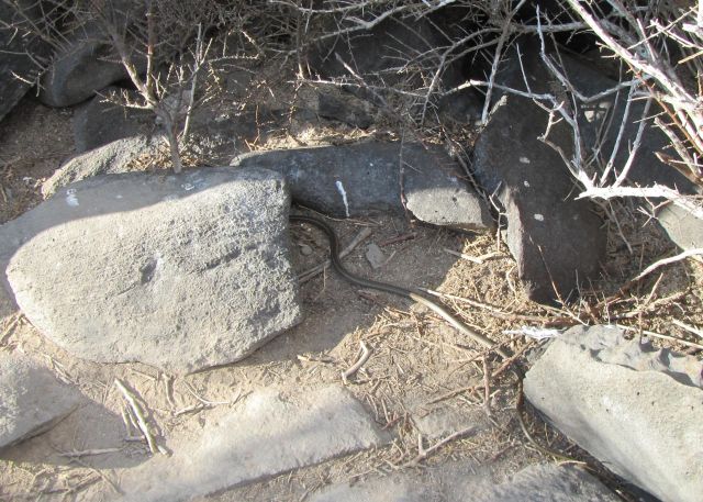 618x434 pixels (101K)