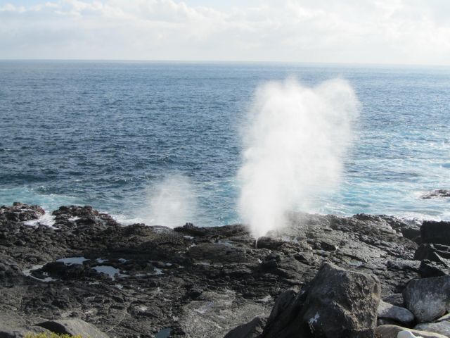 618x457 pixels (73K)