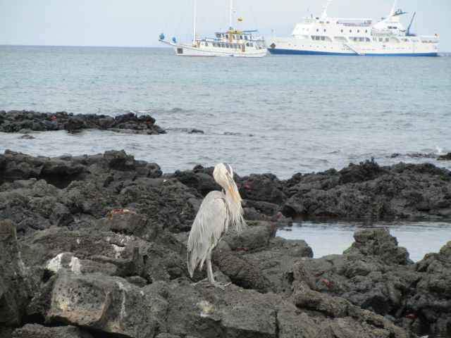 618x457 pixels (75K)