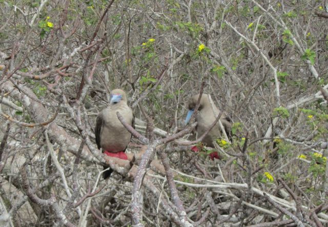 618x420 pixels (96K)