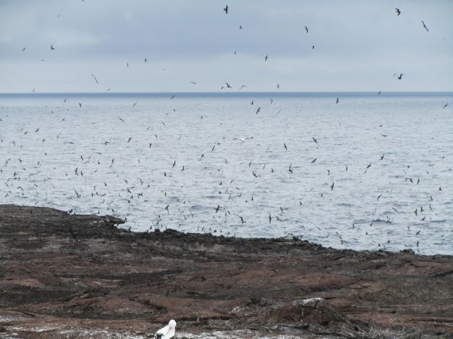 618x457 pixels (64K)
