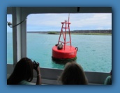 Our first sea lion sighting.