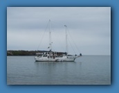 Our home for 7 days - the Cachalote.
8 cabins (15 people on our tour) and 6 crew and 1 naturalist.