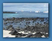 Boats in the bay and sea lion pups in the rocks.