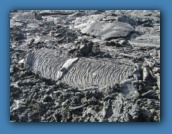 The lava flows here are very similary to Hawaii.
