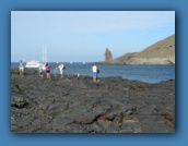 Black lava everywhere.
We snorkeled earlier here and I had penguins and sea lions swim by me.