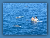 One of our tour guide and a young snorkeler watching a green sea turtle.